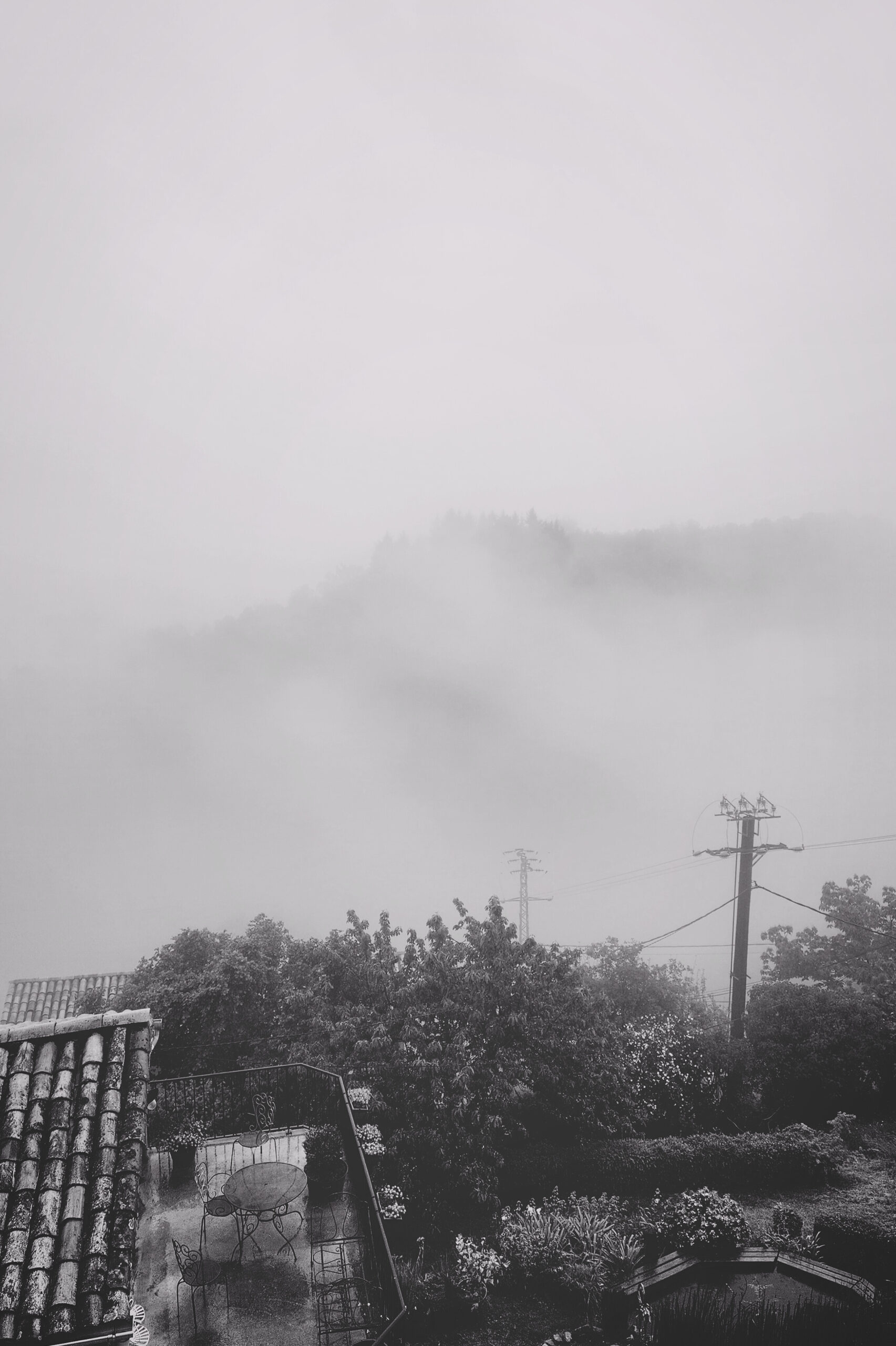 Walking Slowly Through the Valley