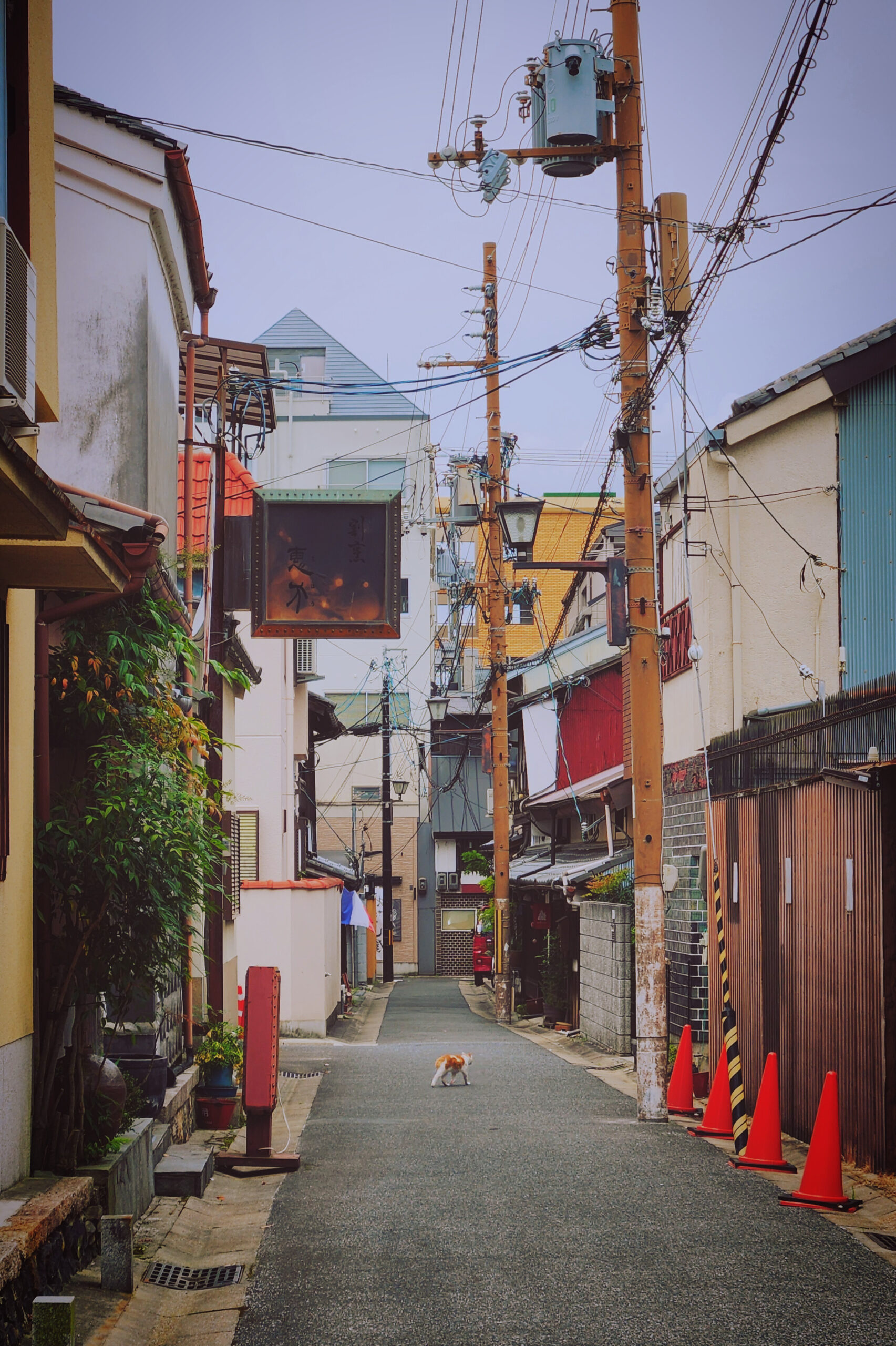 Off the Beaten Path in Nara